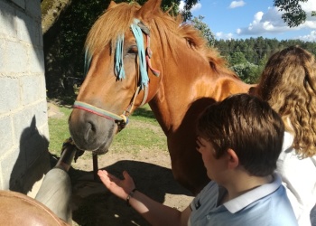 Popołudnie w siodle