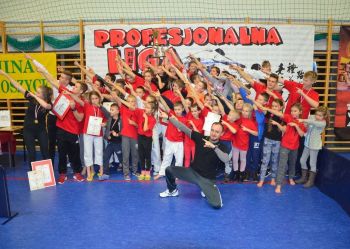 Profesjonalna Liga Taekwon-do!